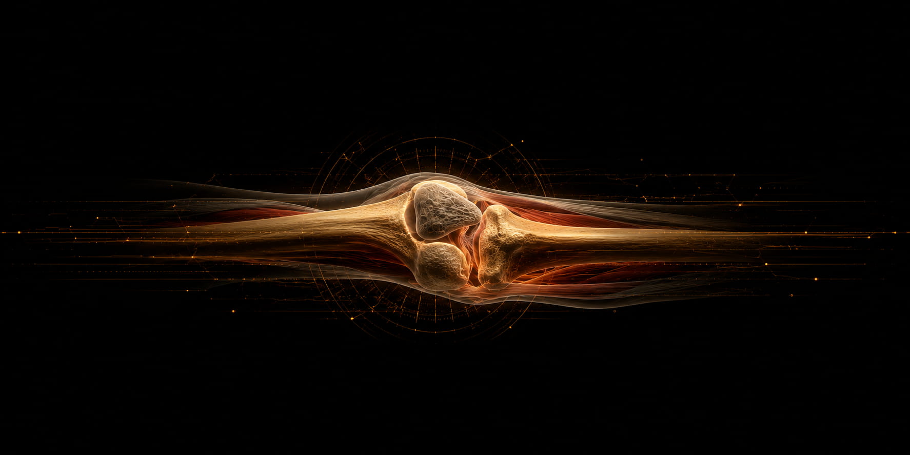 bg-form