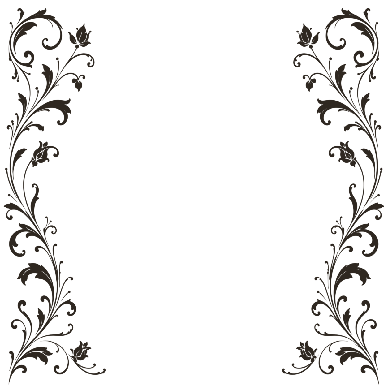 services bg